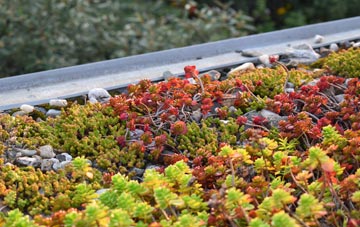 the cost of Rolleston On Dove green roof installation