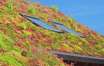 Rolleston On Dove living roof systems