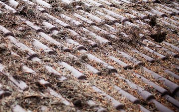 Rolleston On Dove roof cleaning companies