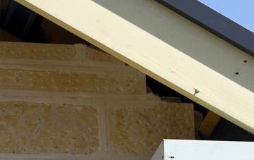soffit repair Rolleston On Dove
