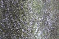 Rolleston On Dove fibreglass roof work